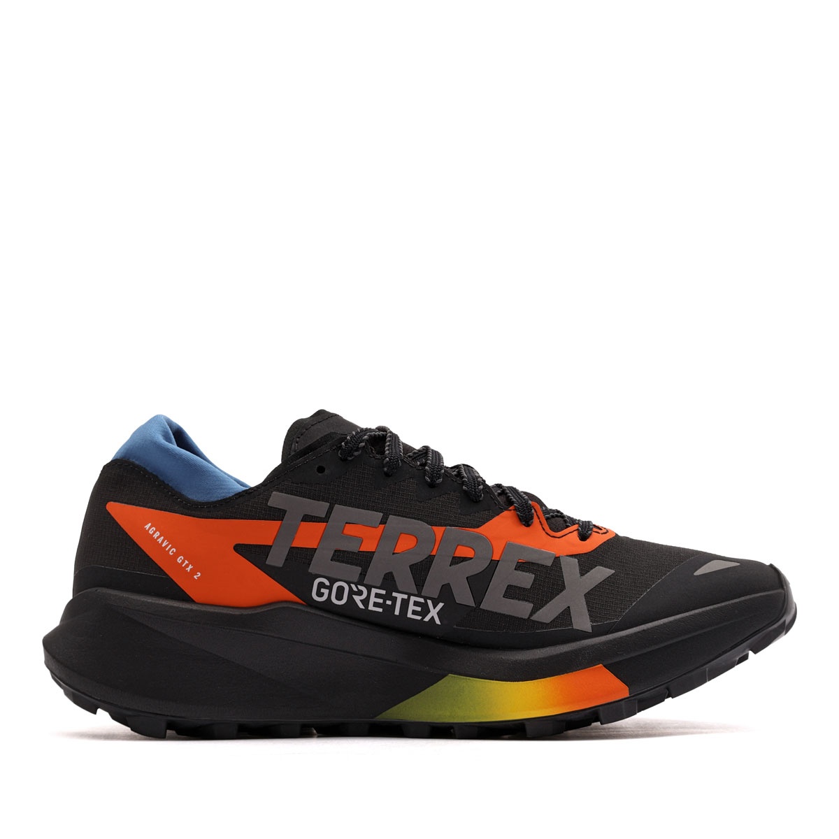 adidas Terrex Agravic Gore-Tex 2 Adidași bărbați JQ1915