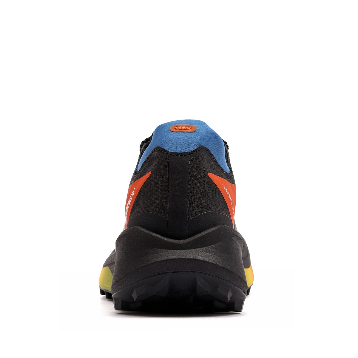 adidas Terrex Agravic Gore-Tex 2 Adidași bărbați JQ1915