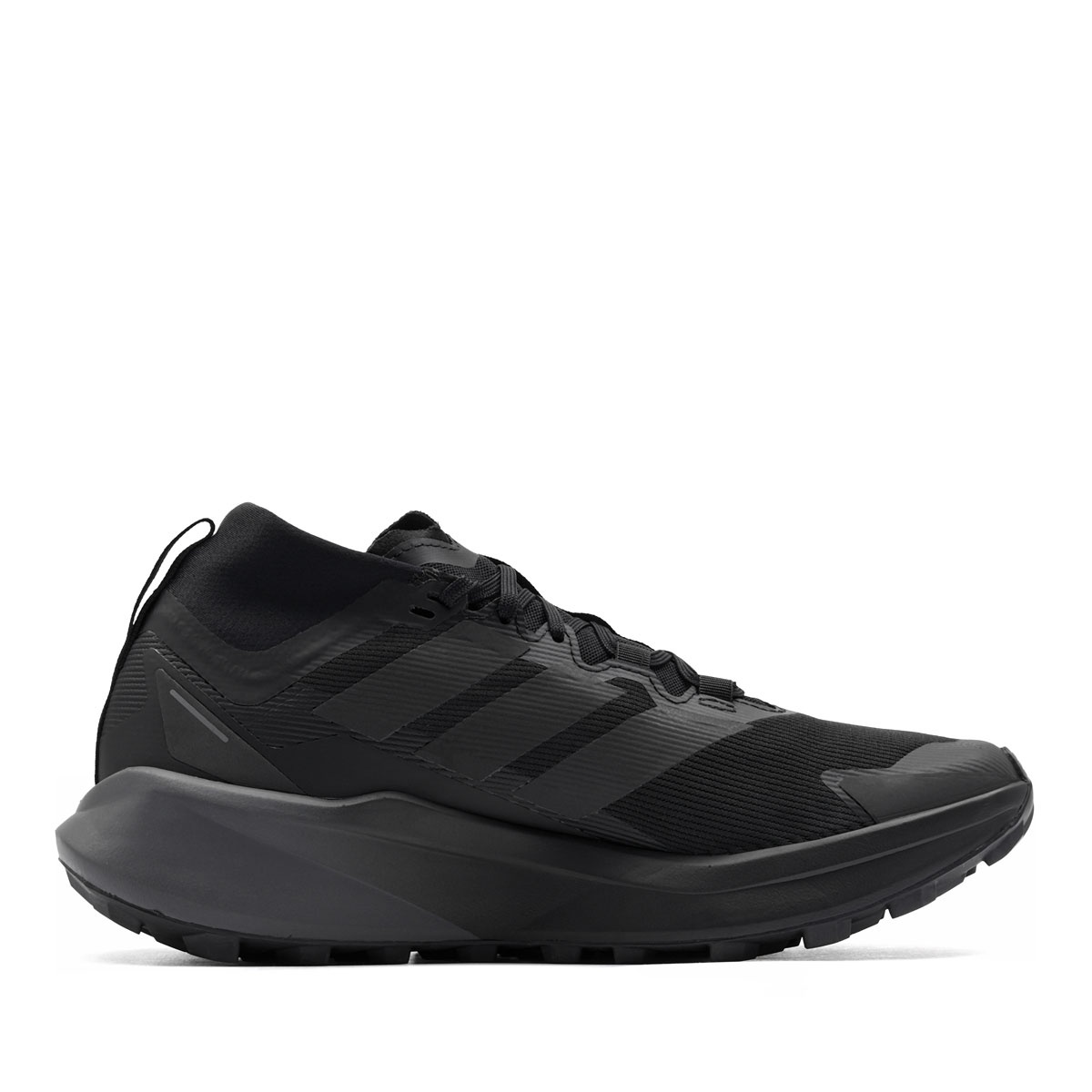 adidas Terrex Agravic Gore-Tex Adidași bărbați JR5240