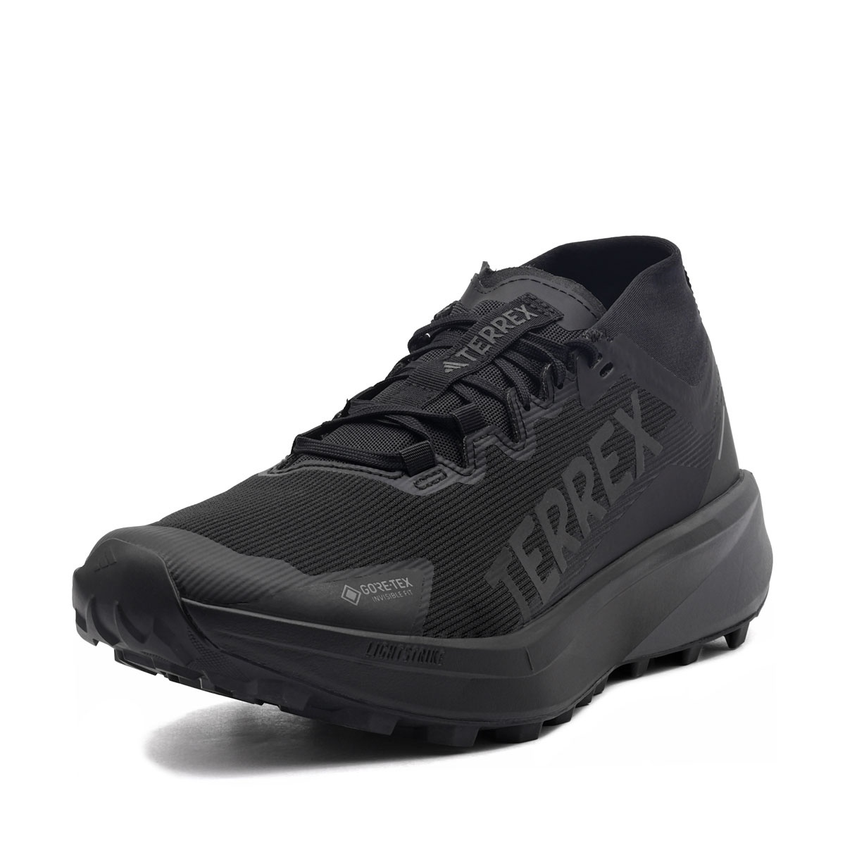 adidas Terrex Agravic Gore-Tex Adidași bărbați JR5240