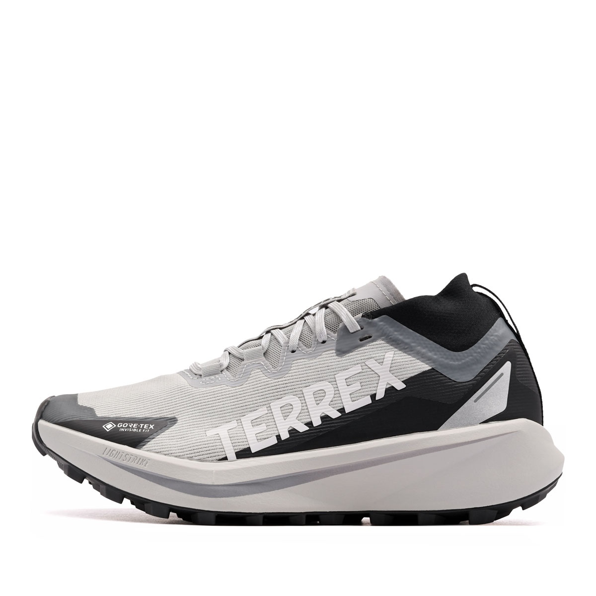 adidas Terrex Agravic Gore-Tex Adidași bărbați JR9104