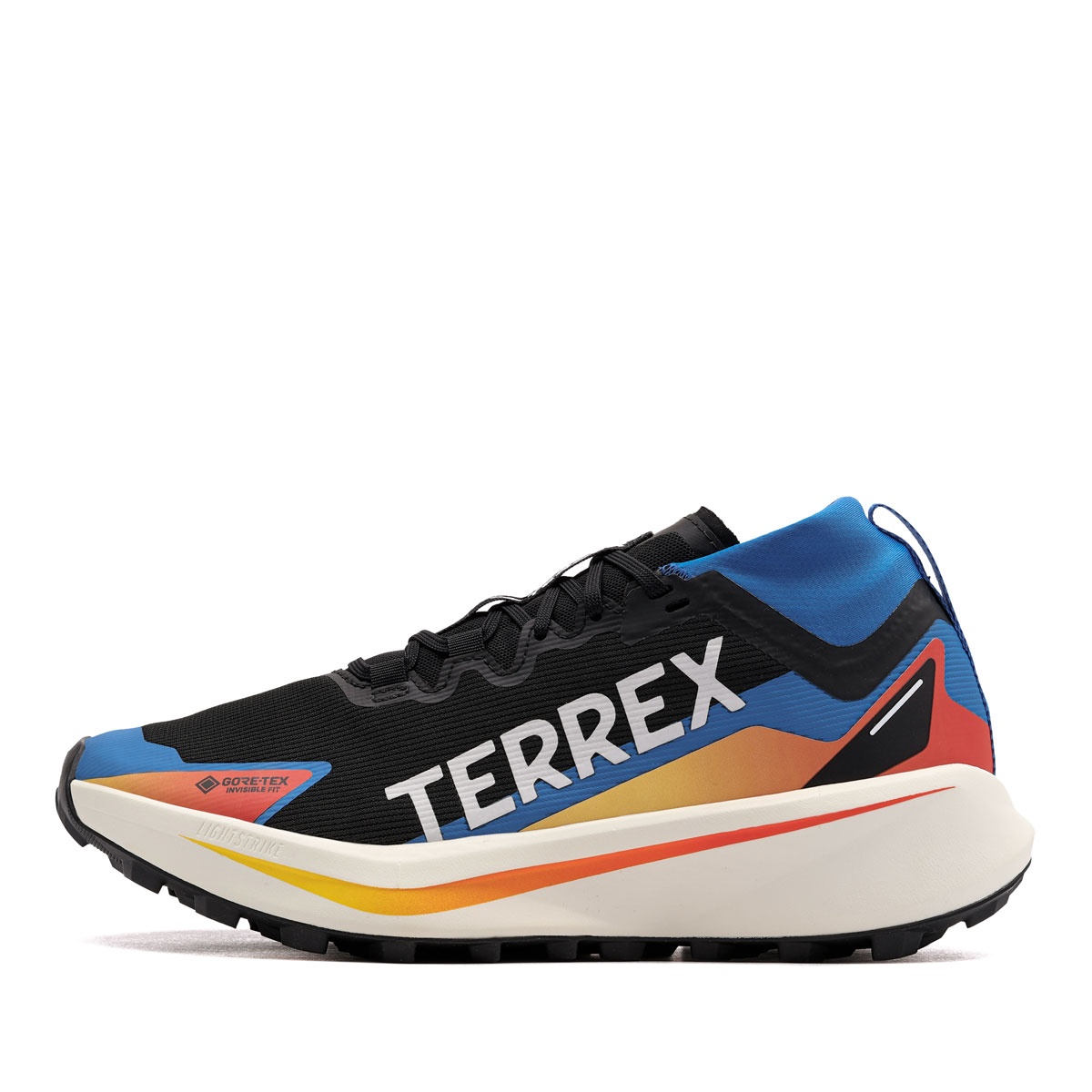 adidas Terrex Agravic Gore-Tex Adidași bărbați JR9105