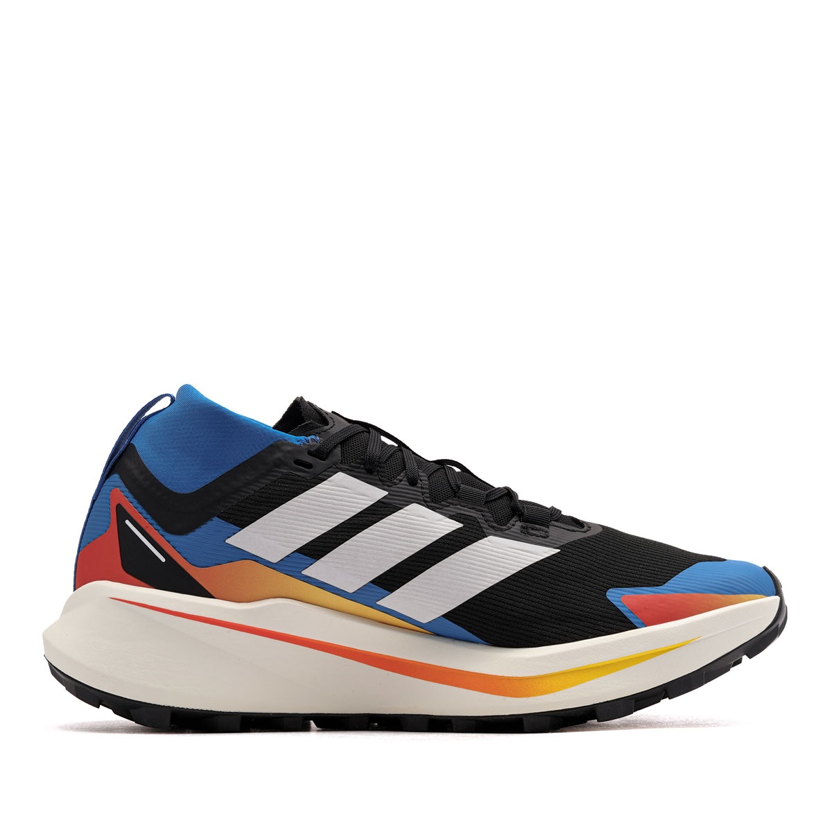adidas Terrex Agravic Gore-Tex Adidași bărbați JR9105