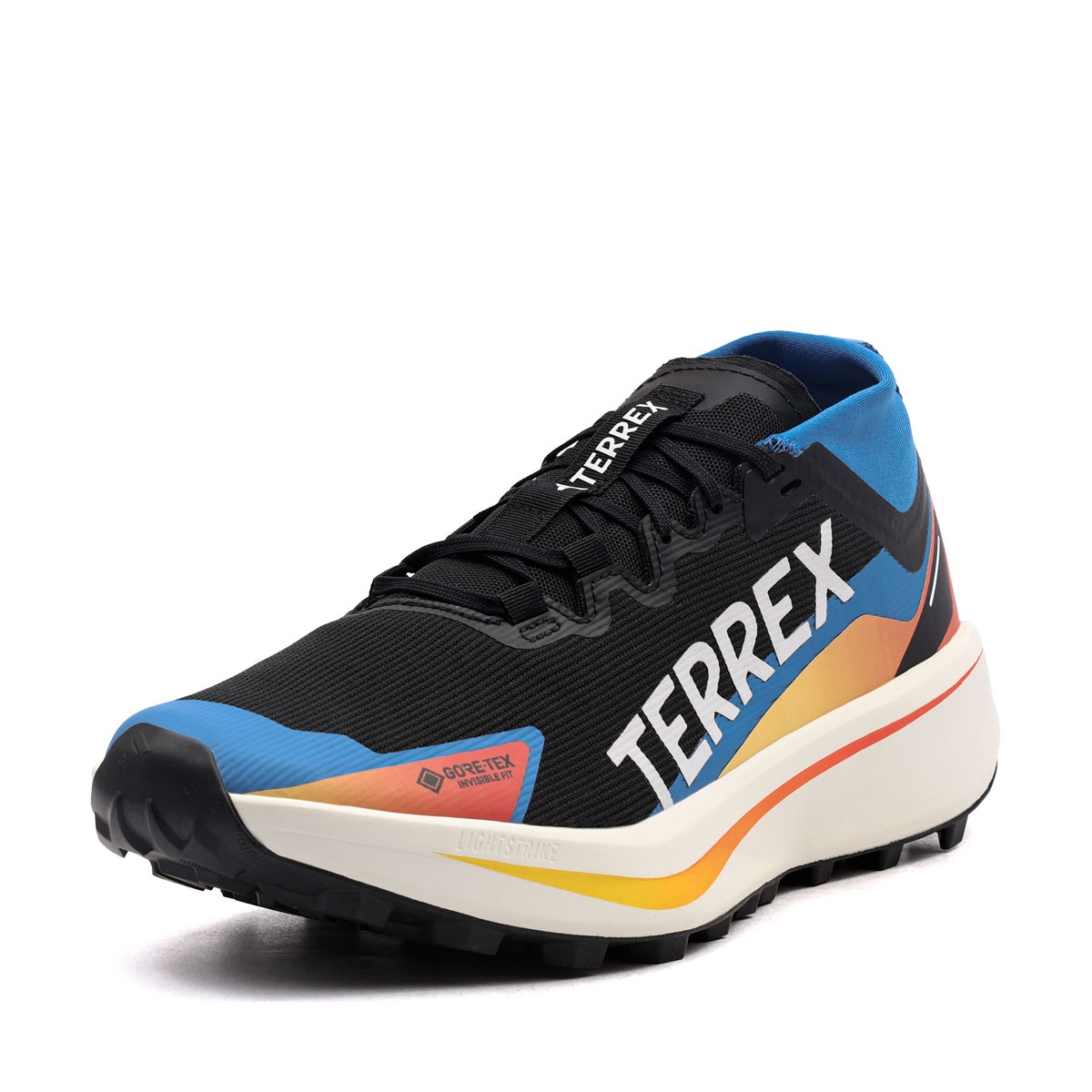 adidas Terrex Agravic Gore-Tex Adidași bărbați JR9105