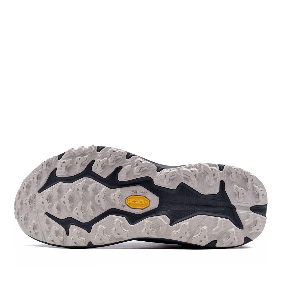 Hoka One One Speedgoat 6 Gore-Tex Adidași bărbați 1155150-FYNG