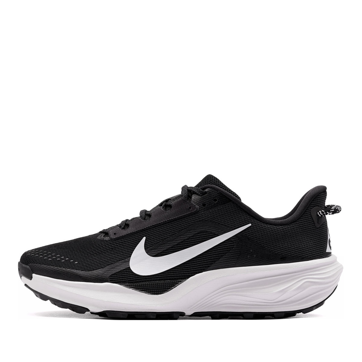 Nike ACG Pegasus Trail Adidași bărbați HV8116-001