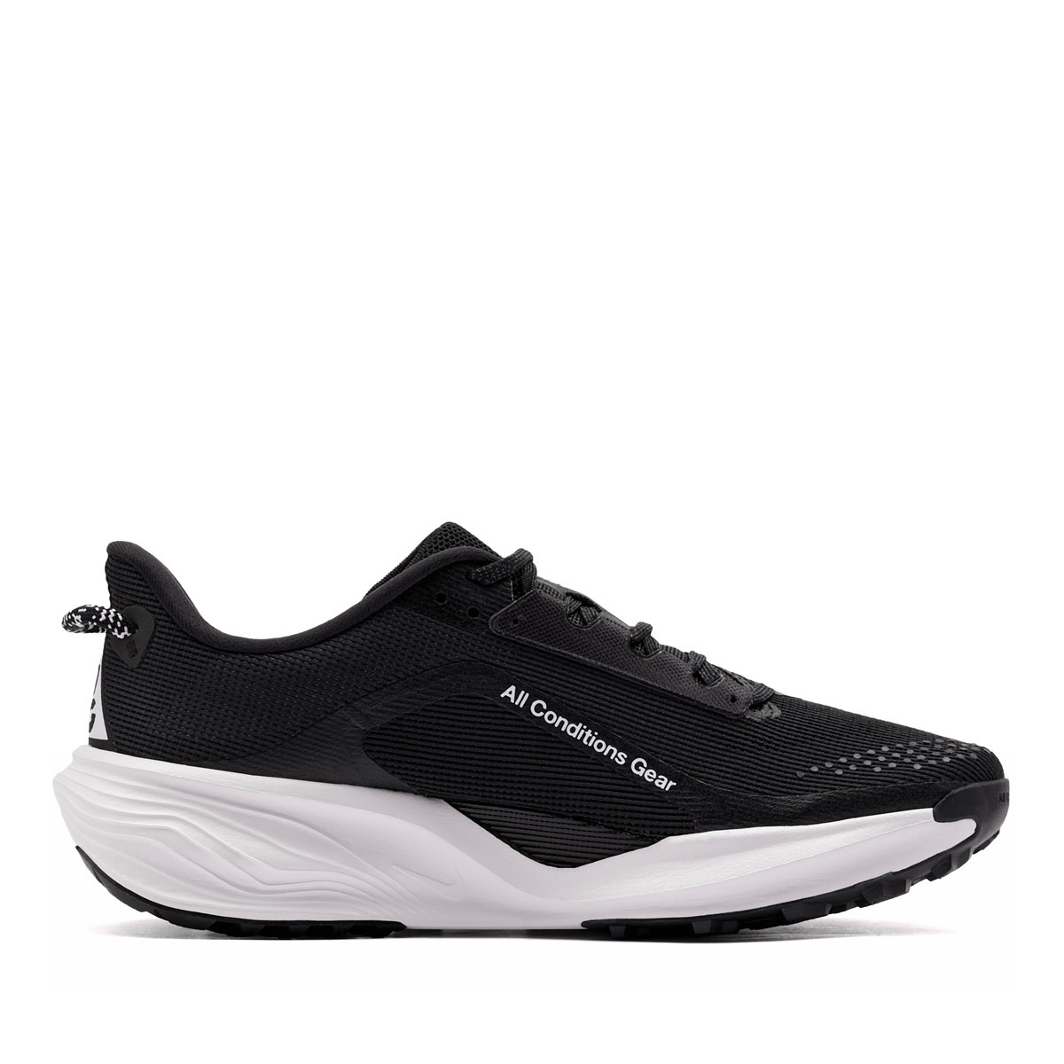 Nike ACG Pegasus Trail Adidași bărbați HV8116-001
