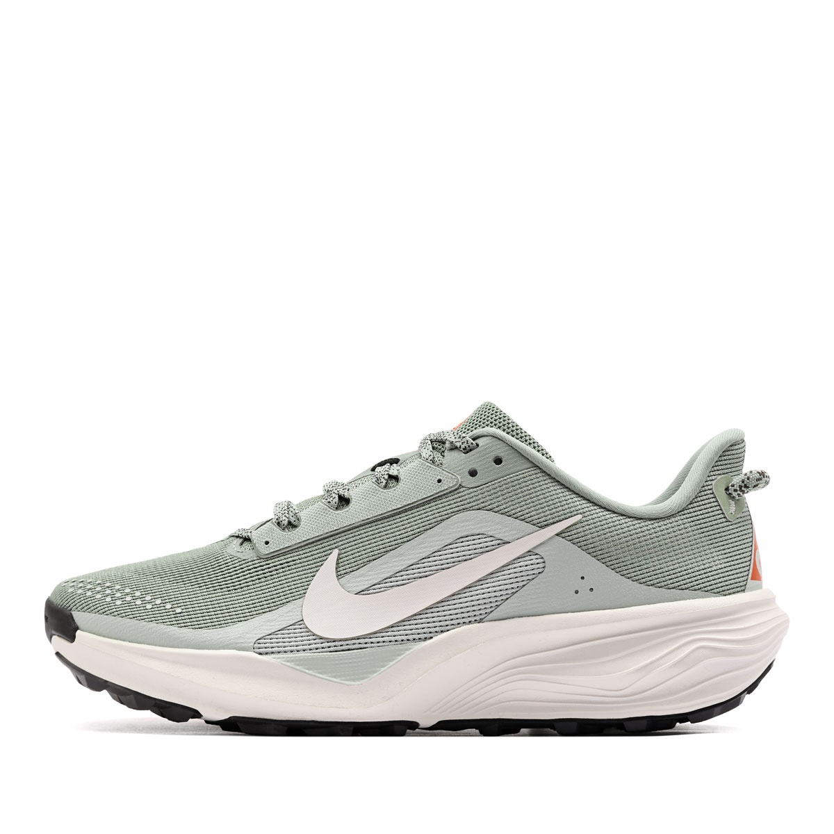 Nike ACG Pegasus Trail Adidași bărbați HV8116-310