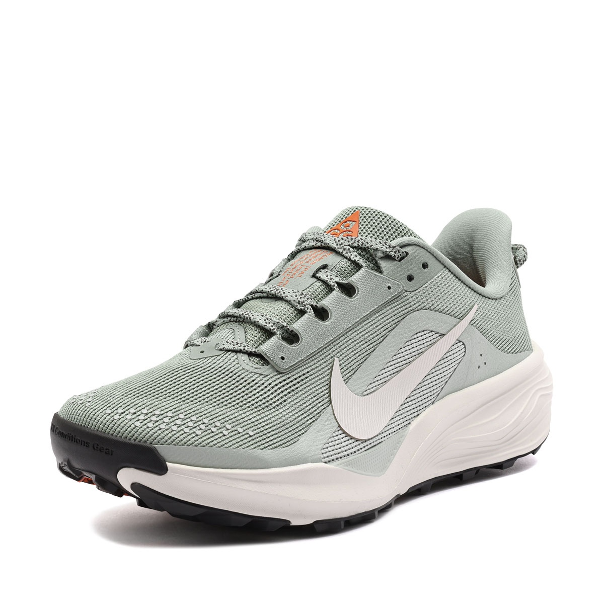Nike ACG Pegasus Trail Adidași bărbați HV8116-310