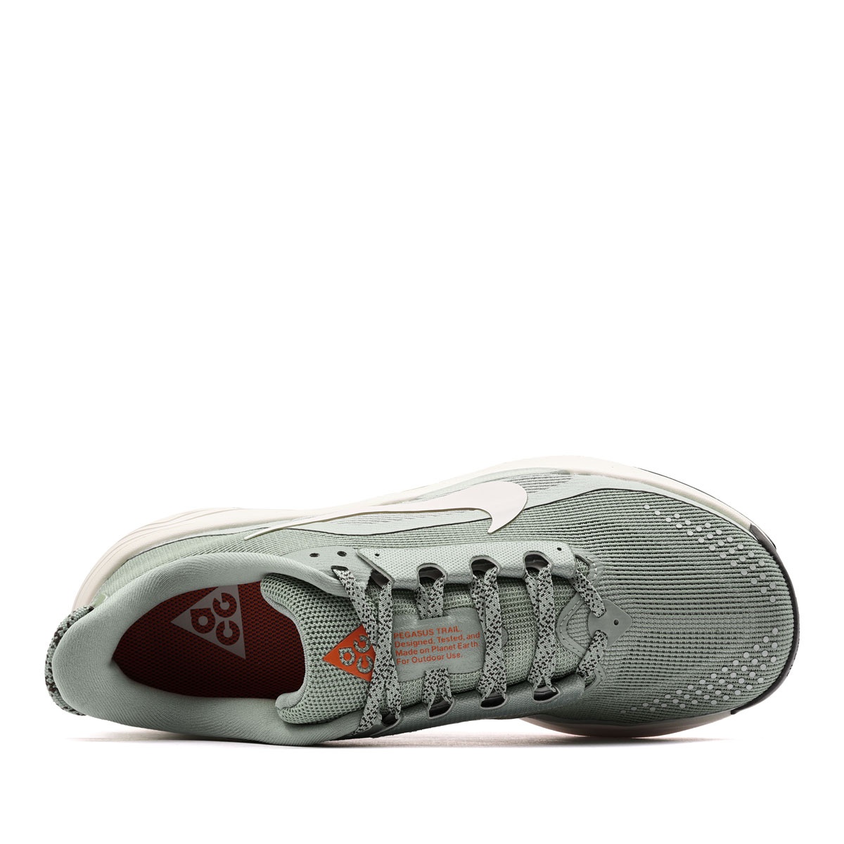 Nike ACG Pegasus Trail Adidași bărbați HV8116-310