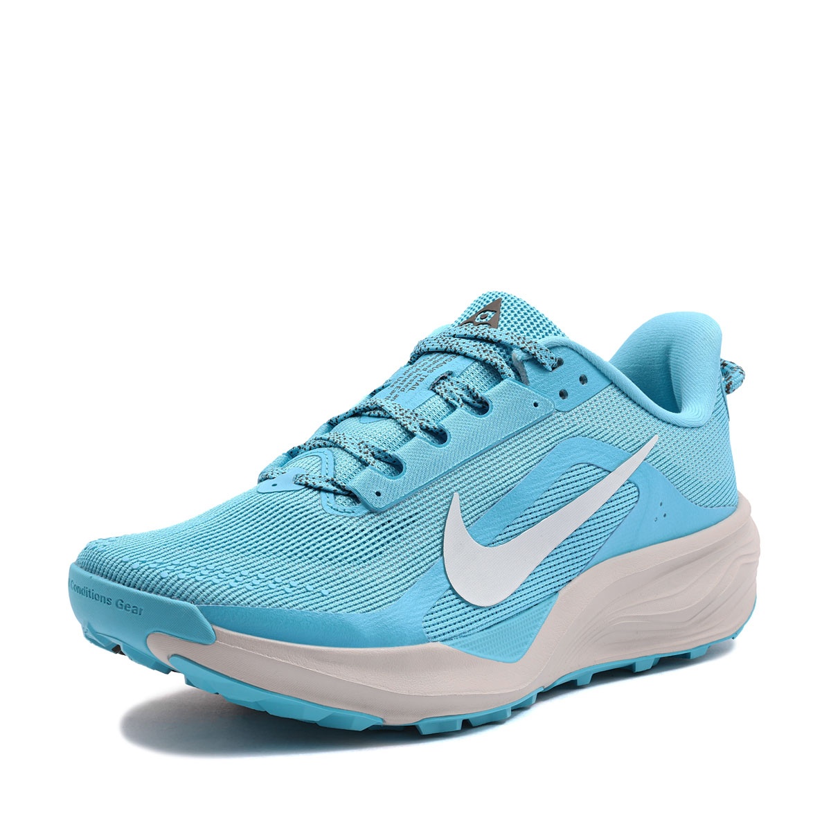 Nike ACG Pegasus Trail Adidași bărbați HV8116-400