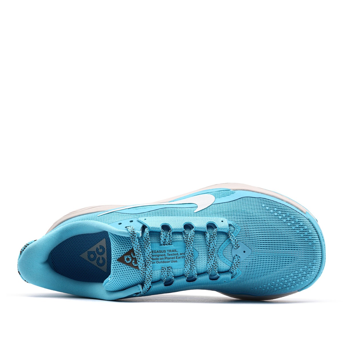 Nike ACG Pegasus Trail Adidași bărbați HV8116-400