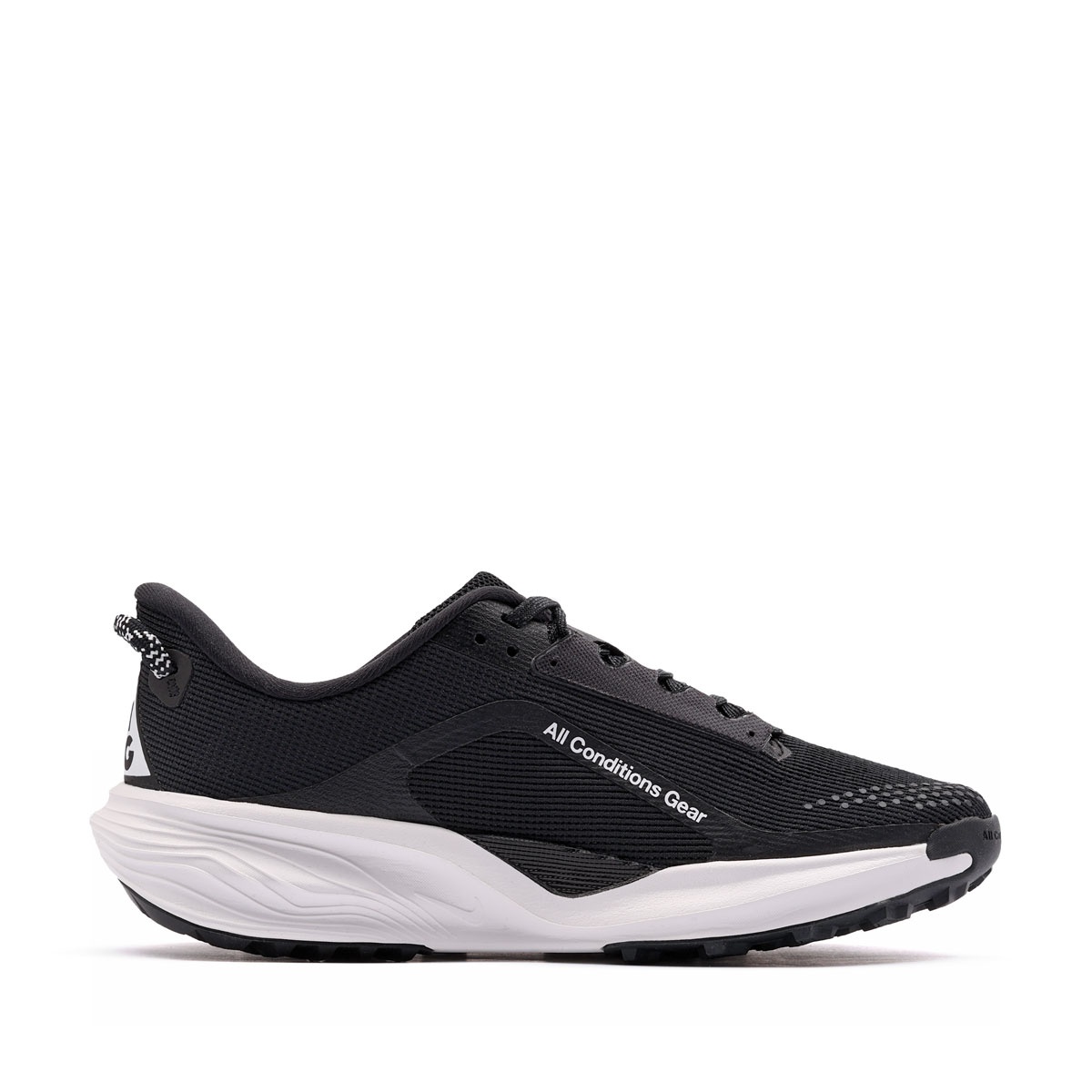 Nike ACG Pegasus Trail Adidași IH2305-001