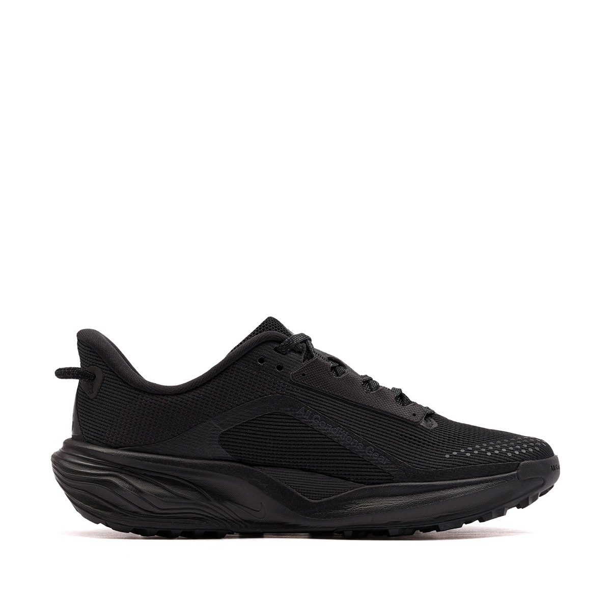 Nike ACG Pegasus Trail Adidași IH2305-003