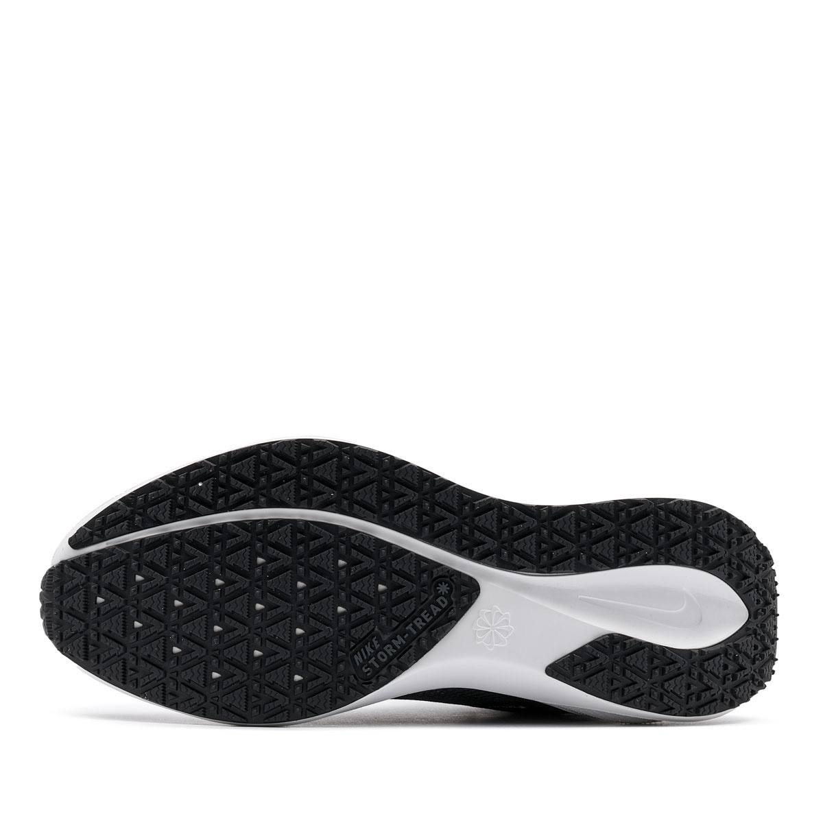 Nike Air Zoom Pegasus 41 Gore-Tex Adidași bărbați FQ1356-002