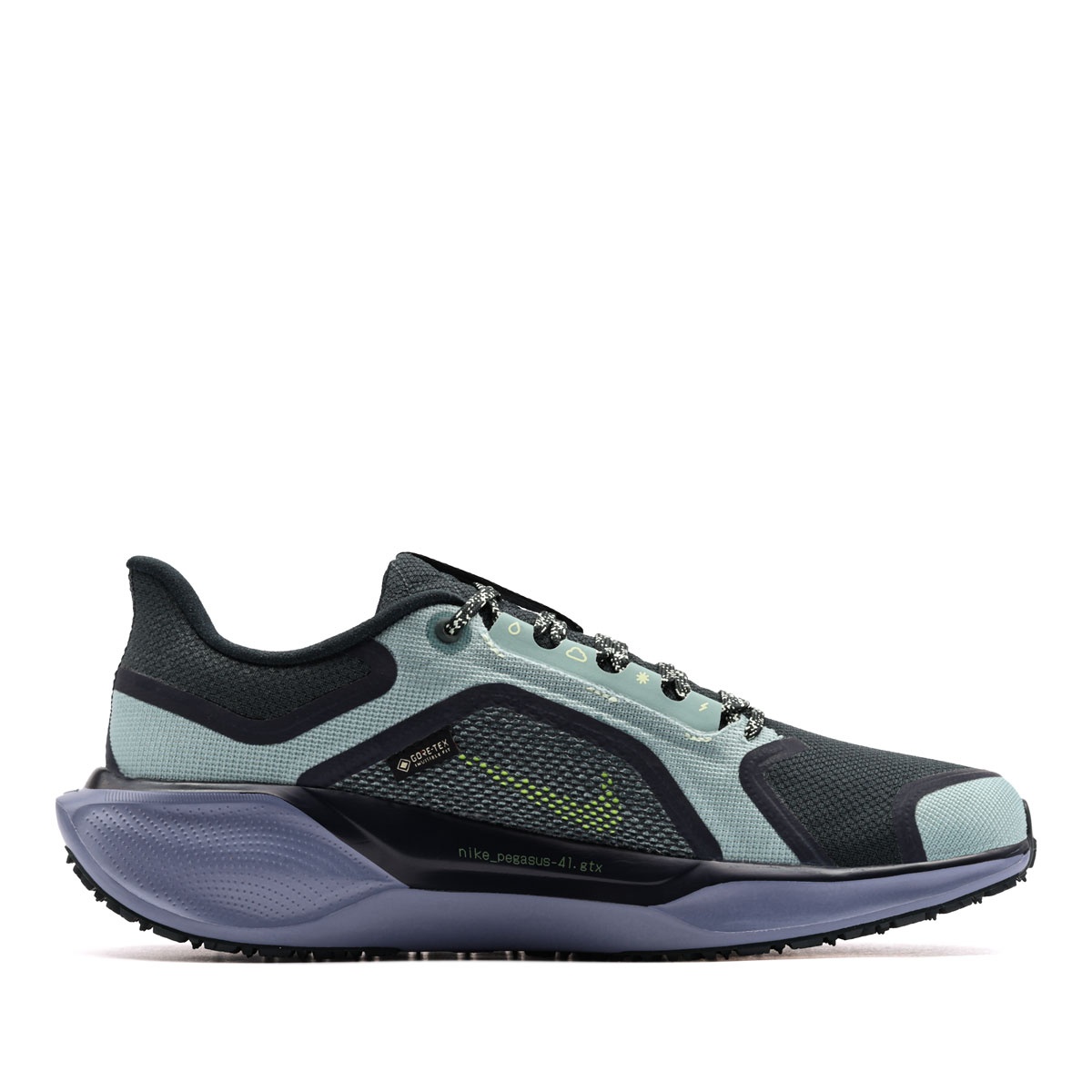 Nike Air Zoom Pegasus 41 Gore-Tex Adidași bărbați FQ1356-006