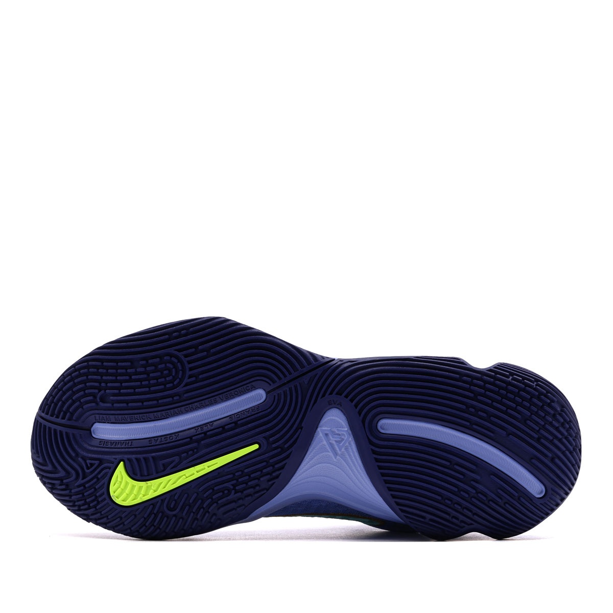 Nike Giannis Immortality 4 Adidași bărbați FQ3680-402