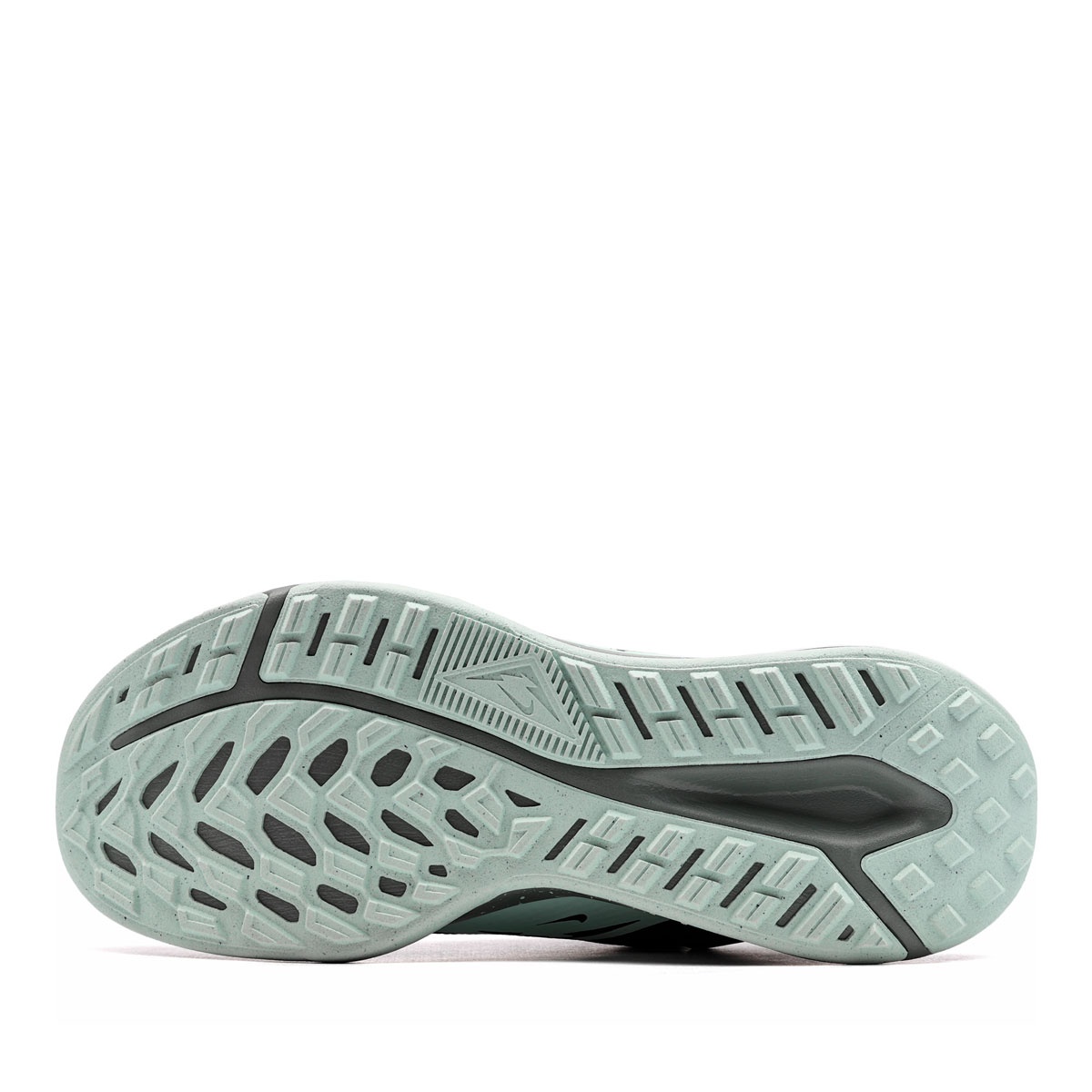 Nike Juniper Trail 2 Gore-Tex V2 Adidași bărbați HM9734-302