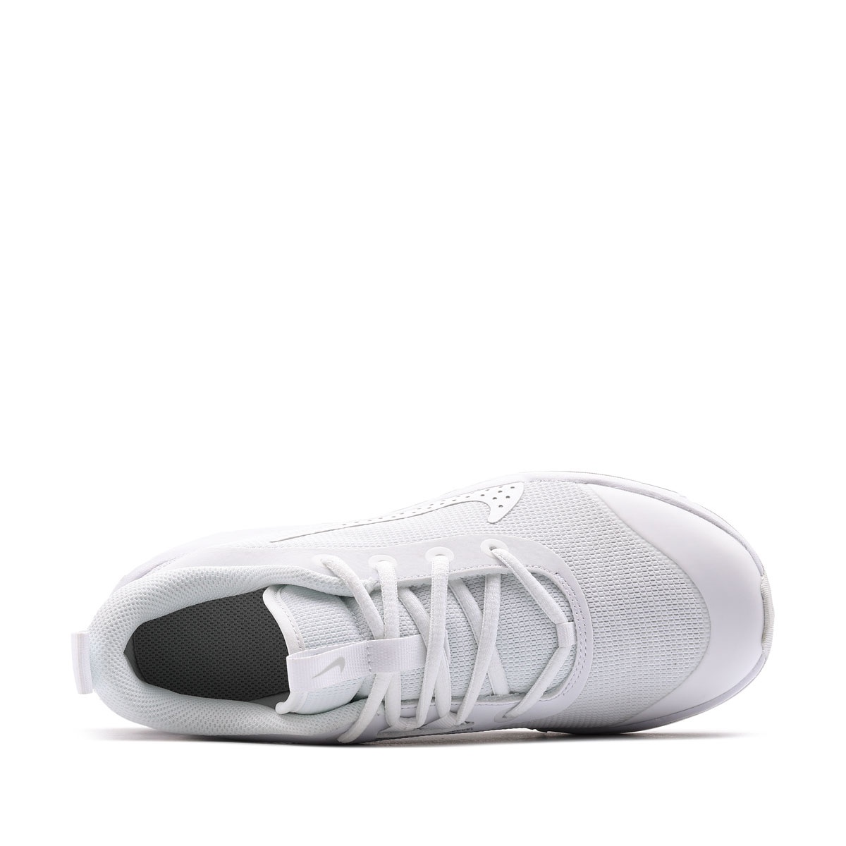 Nike Omni Multi-Court Adidași DM9027-100