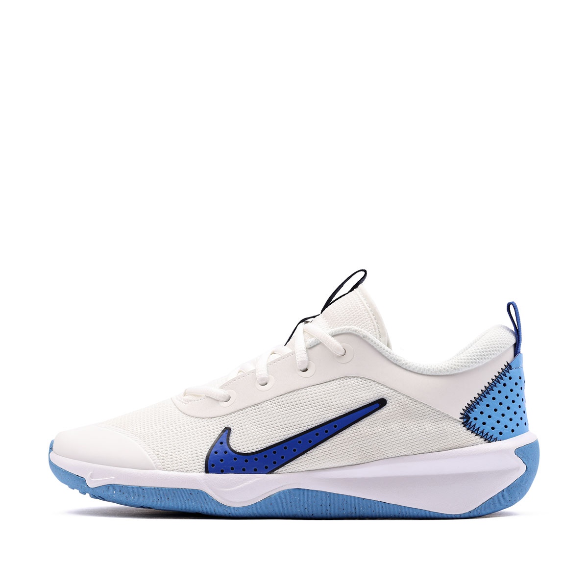 Nike Omni Multi-Court Adidași DM9027-108