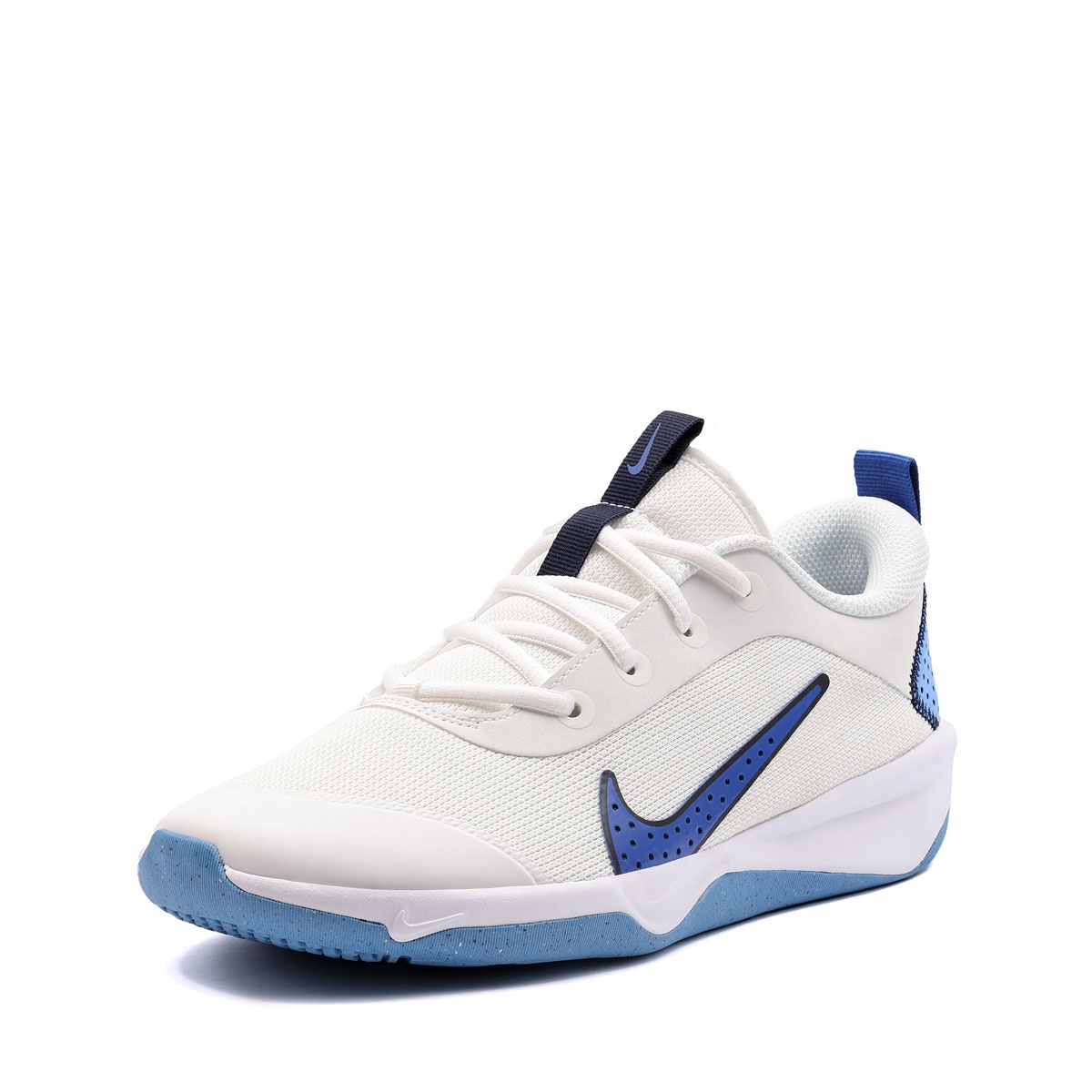 Nike Omni Multi-Court Adidași DM9027-108