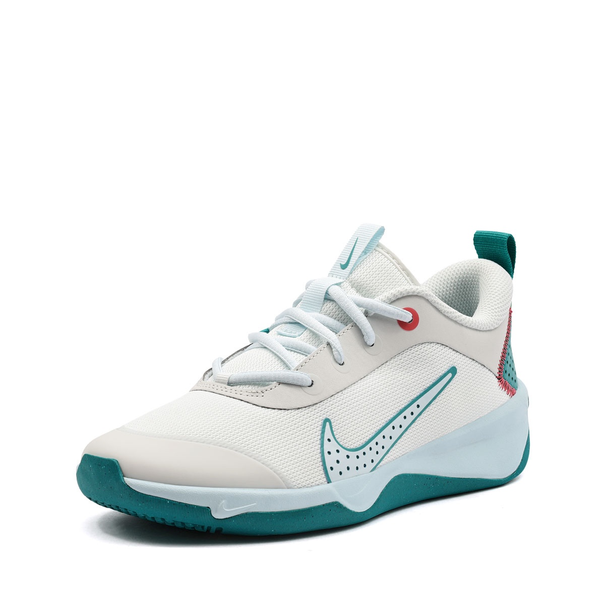 Nike Omni Multi-Court Adidași DM9027-109