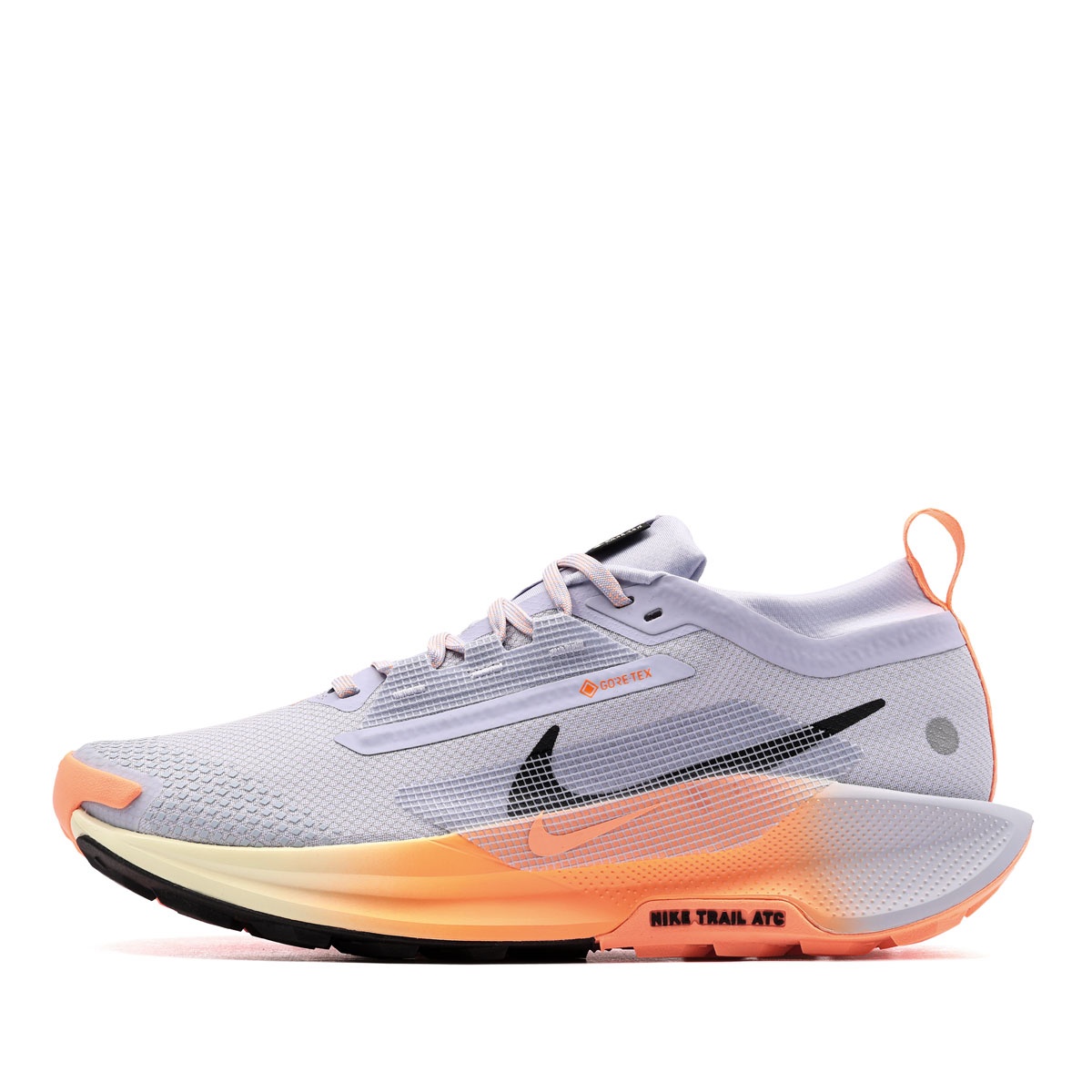 Nike Pegasus Trail 5 Gore-Tex Adidași bărbați FQ0908-011