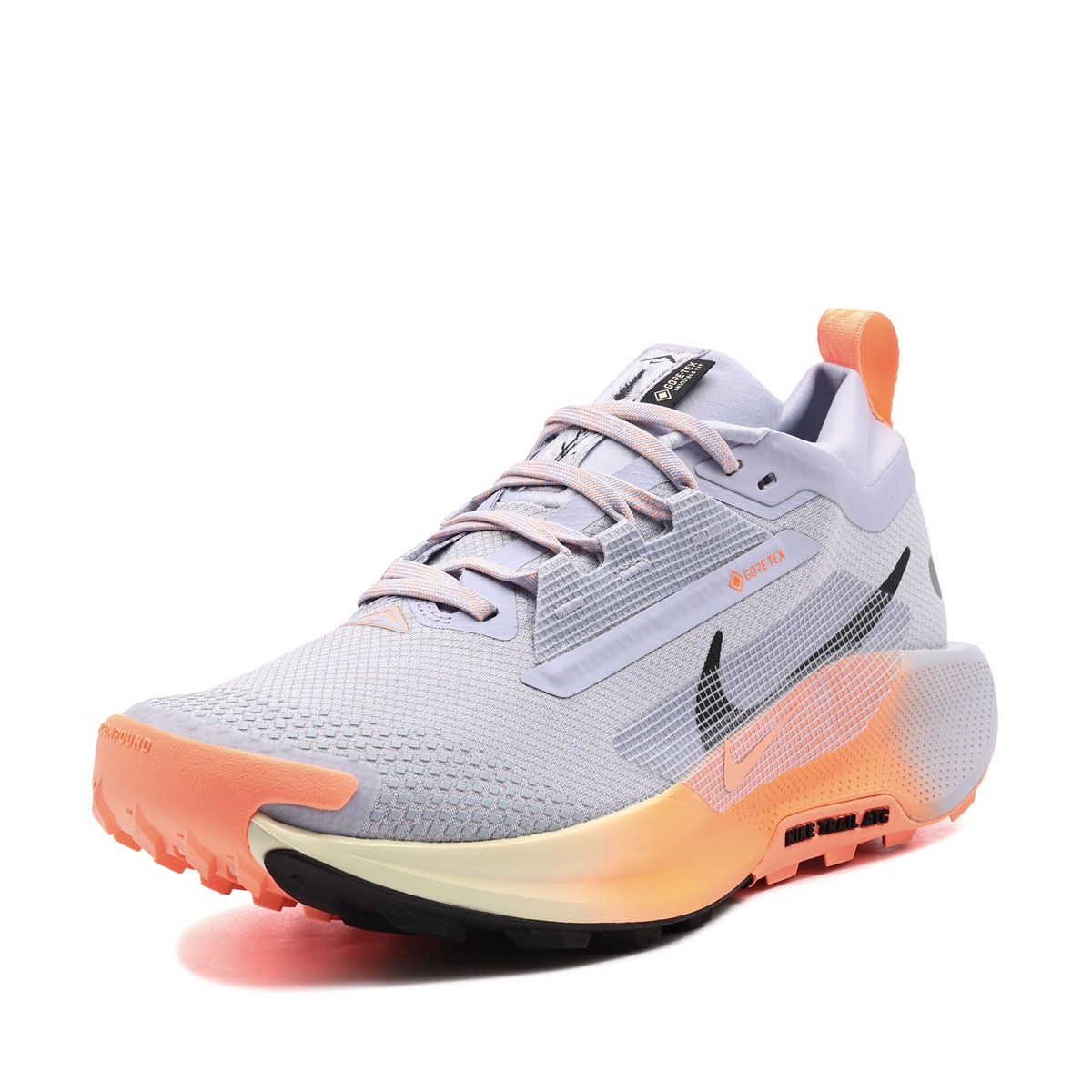 Nike Pegasus Trail 5 Gore-Tex Adidași bărbați FQ0908-011