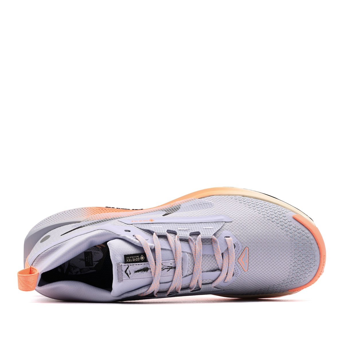 Nike Pegasus Trail 5 Gore-Tex Adidași bărbați FQ0908-011