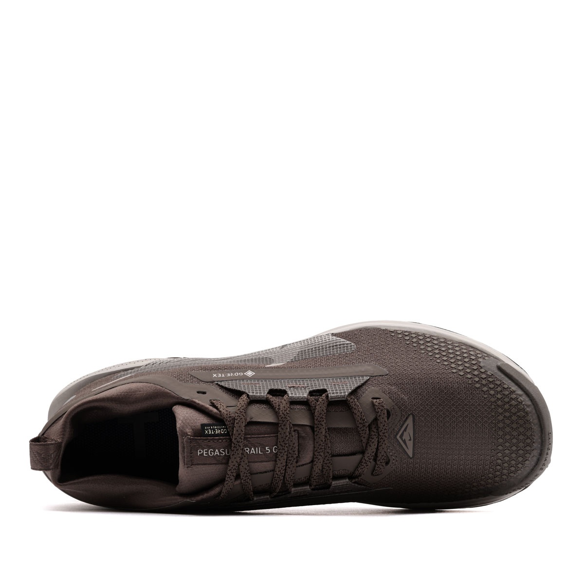 Nike Pegasus Trail 5 Gore-Tex Adidași bărbați FQ0908-012