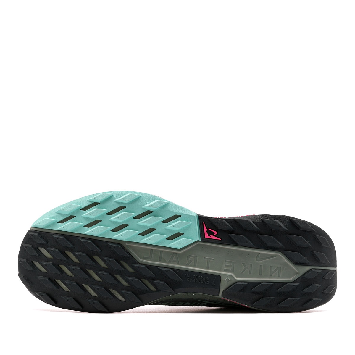 Nike Pegasus Trail 5 Gore-Tex Adidași bărbați FQ0908-013