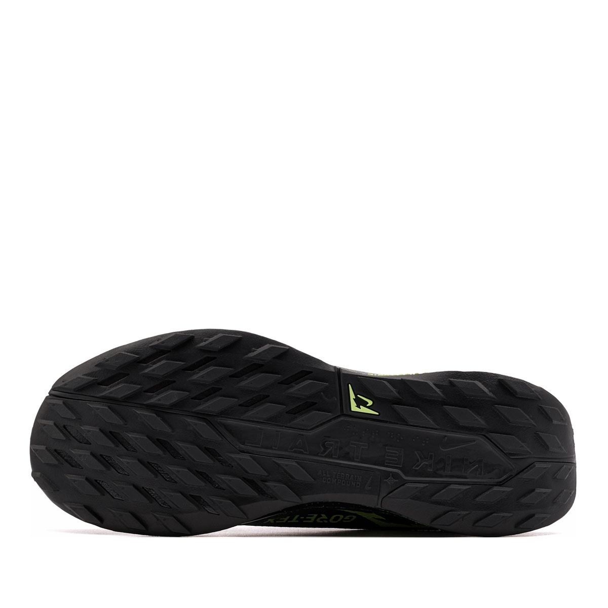 Nike Pegasus Trail 5 Gore-Tex Adidași bărbați FQ0908-014