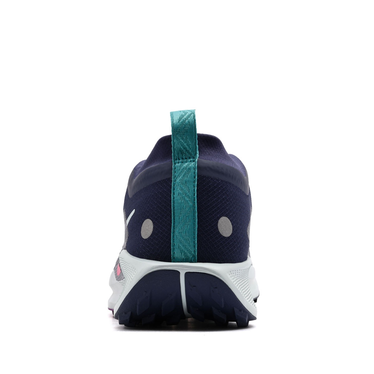 Nike Pegasus Trail 5 Gore-Tex Adidași bărbați FQ0908-403