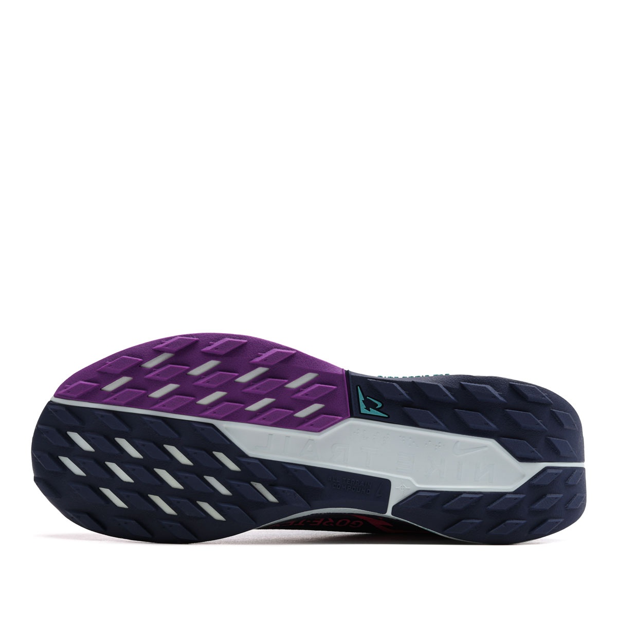 Nike Pegasus Trail 5 Gore-Tex Adidași bărbați FQ0908-403