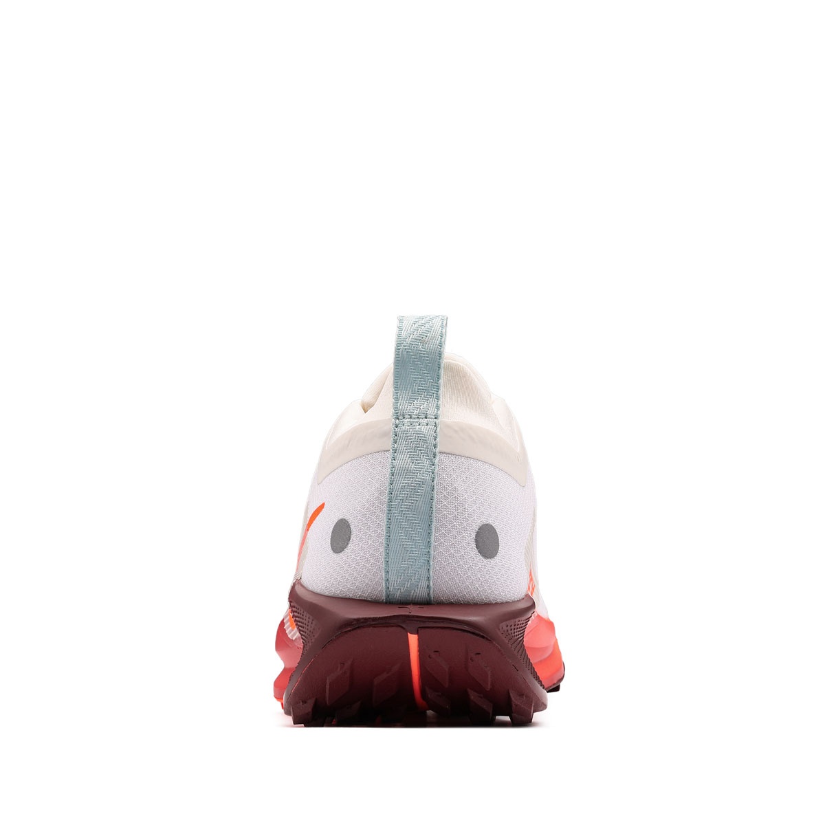 Nike Pegasus Trail 5 Gore-Tex Adidași damă FQ0912-104