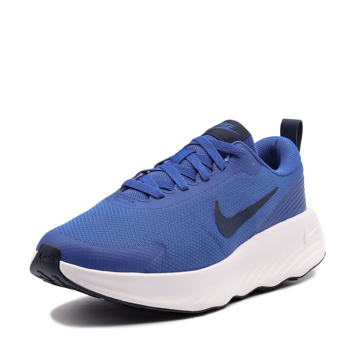 Nike Promina Adidași bărbați FV5285-401