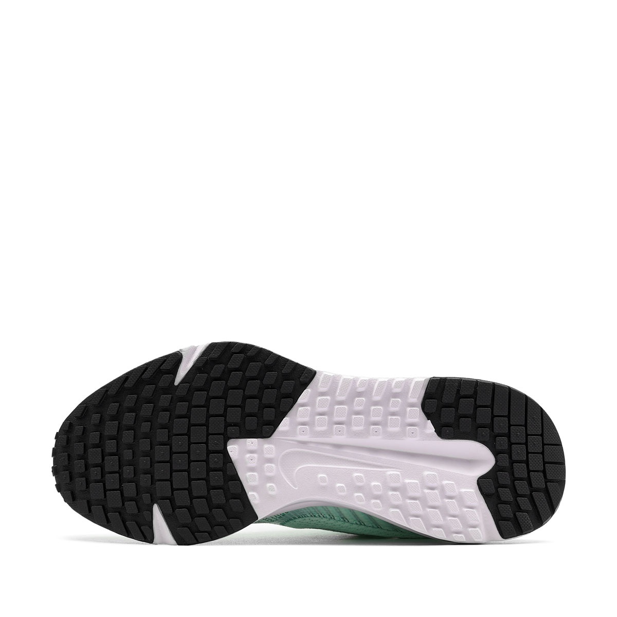 Nike Run Defy Adidași damă HM9593-300