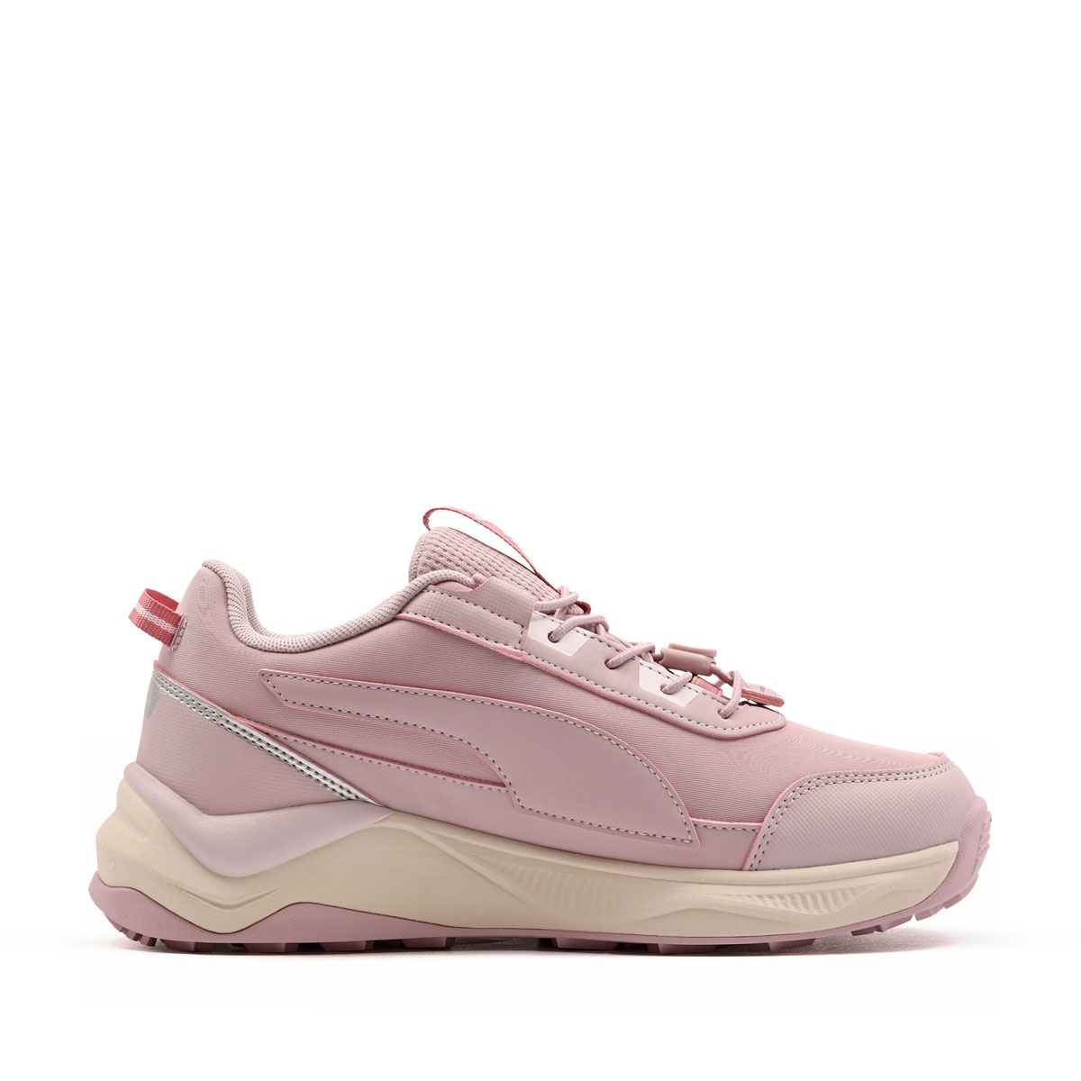 Puma Evolve 2.0 Trail Puretex Lo Adidași 313806-03