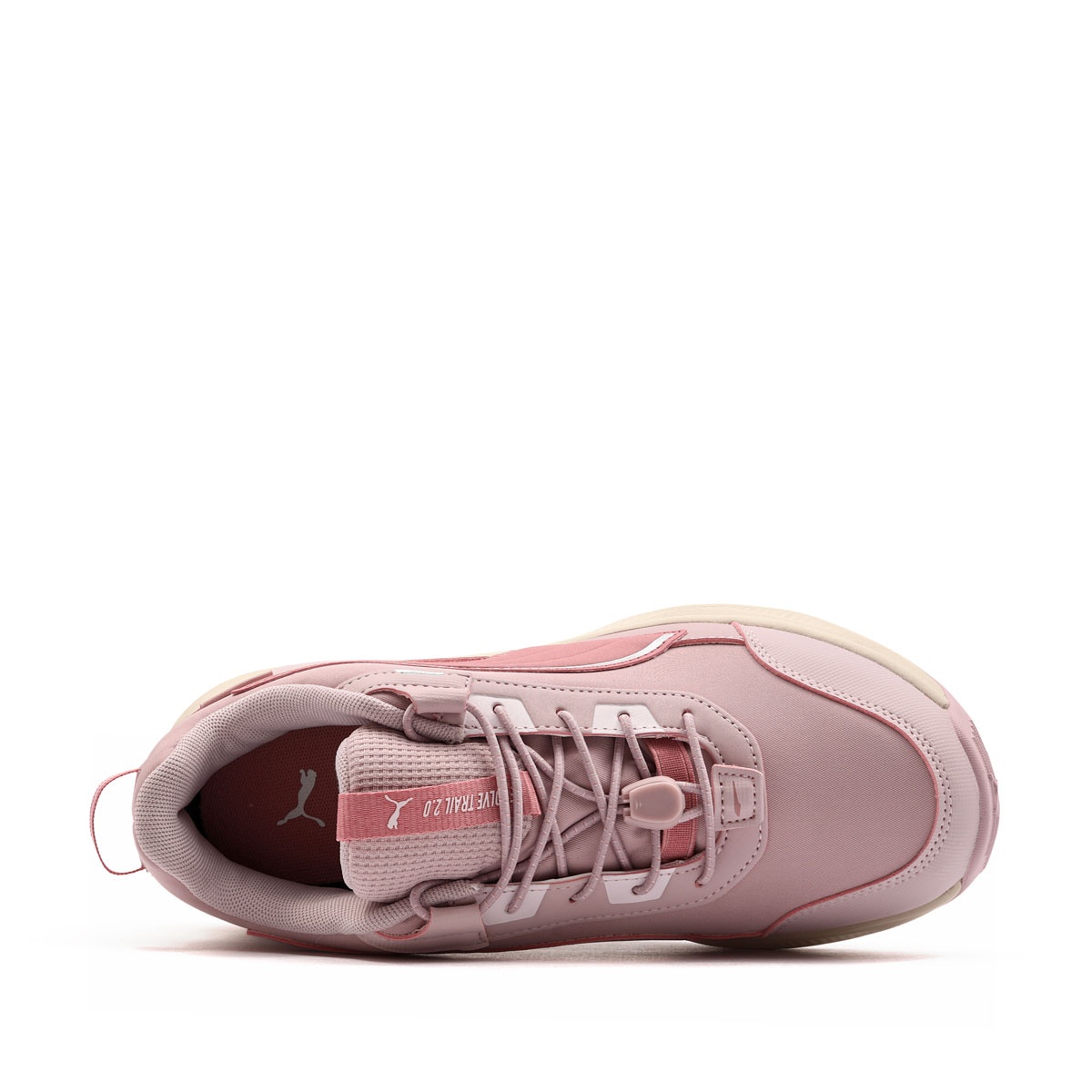 Puma Evolve 2.0 Trail Puretex Lo Adidași 313806-03