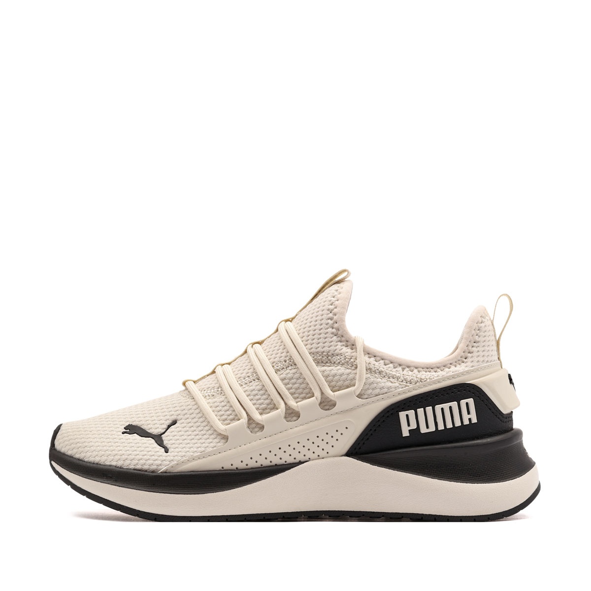 Puma Softride Carson 2 Pulse Adidași 313502-08