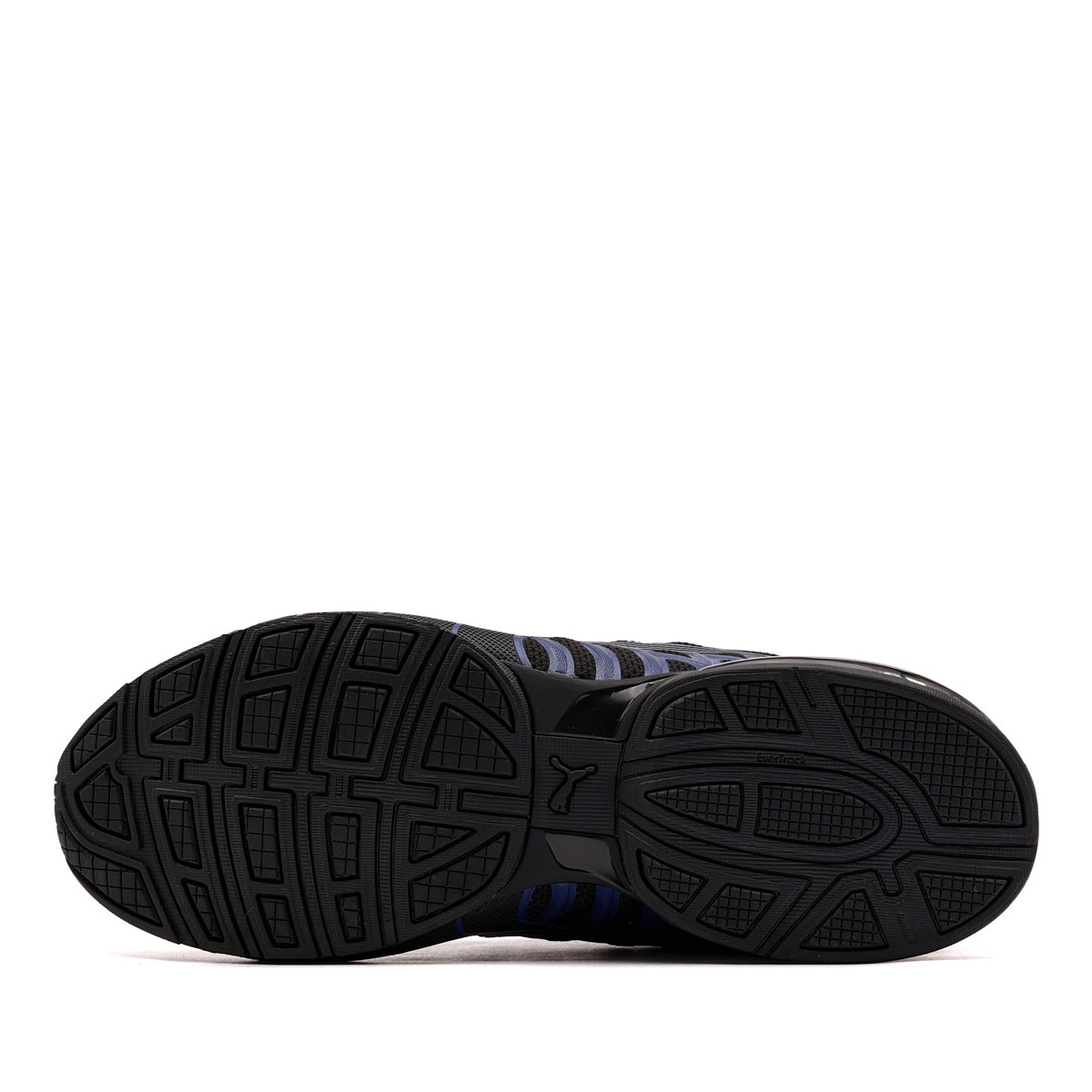 Puma Voltaic Evo Pantofi sport 379601-46
