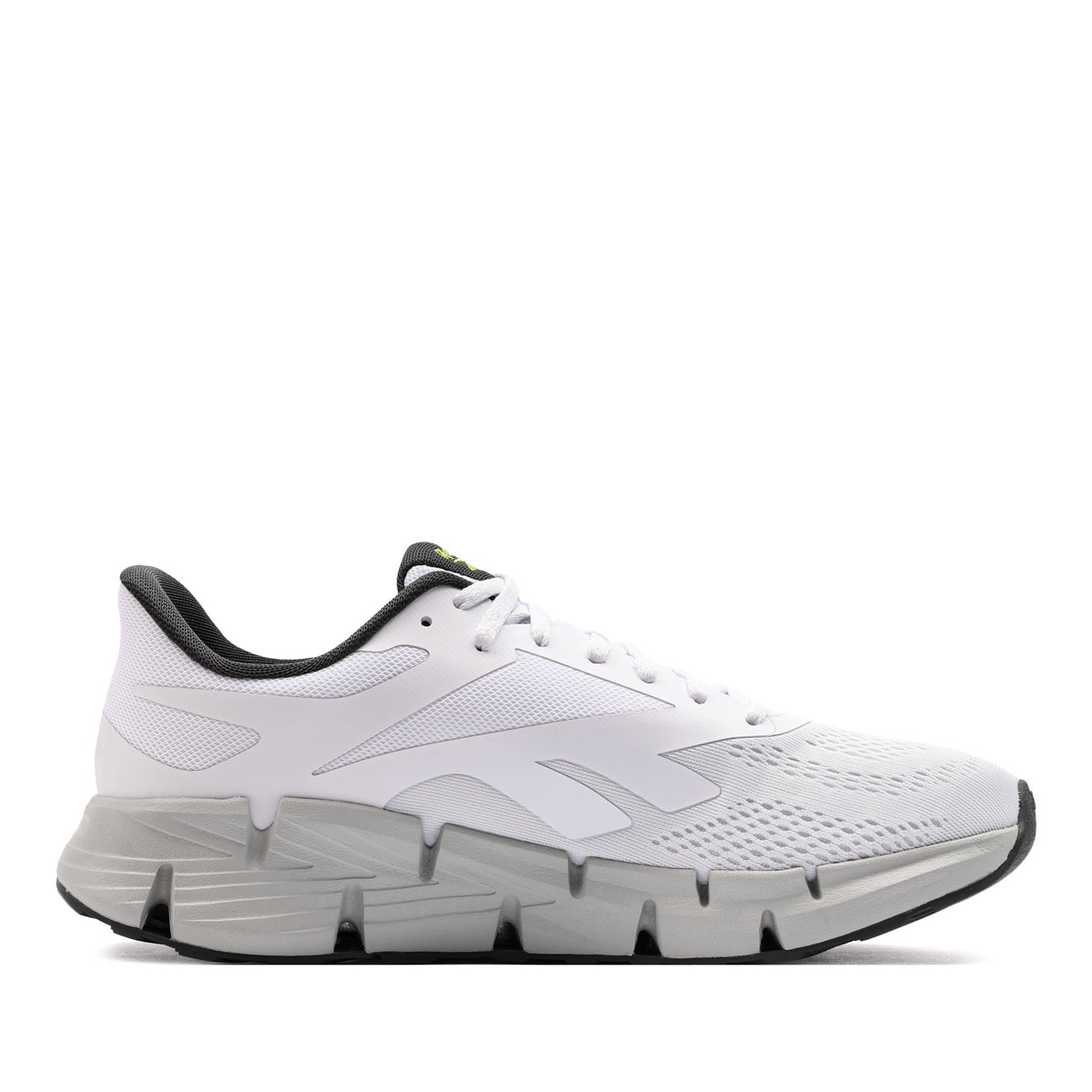Reebok Zig Dynamica 6 Adidași bărbați 100244518