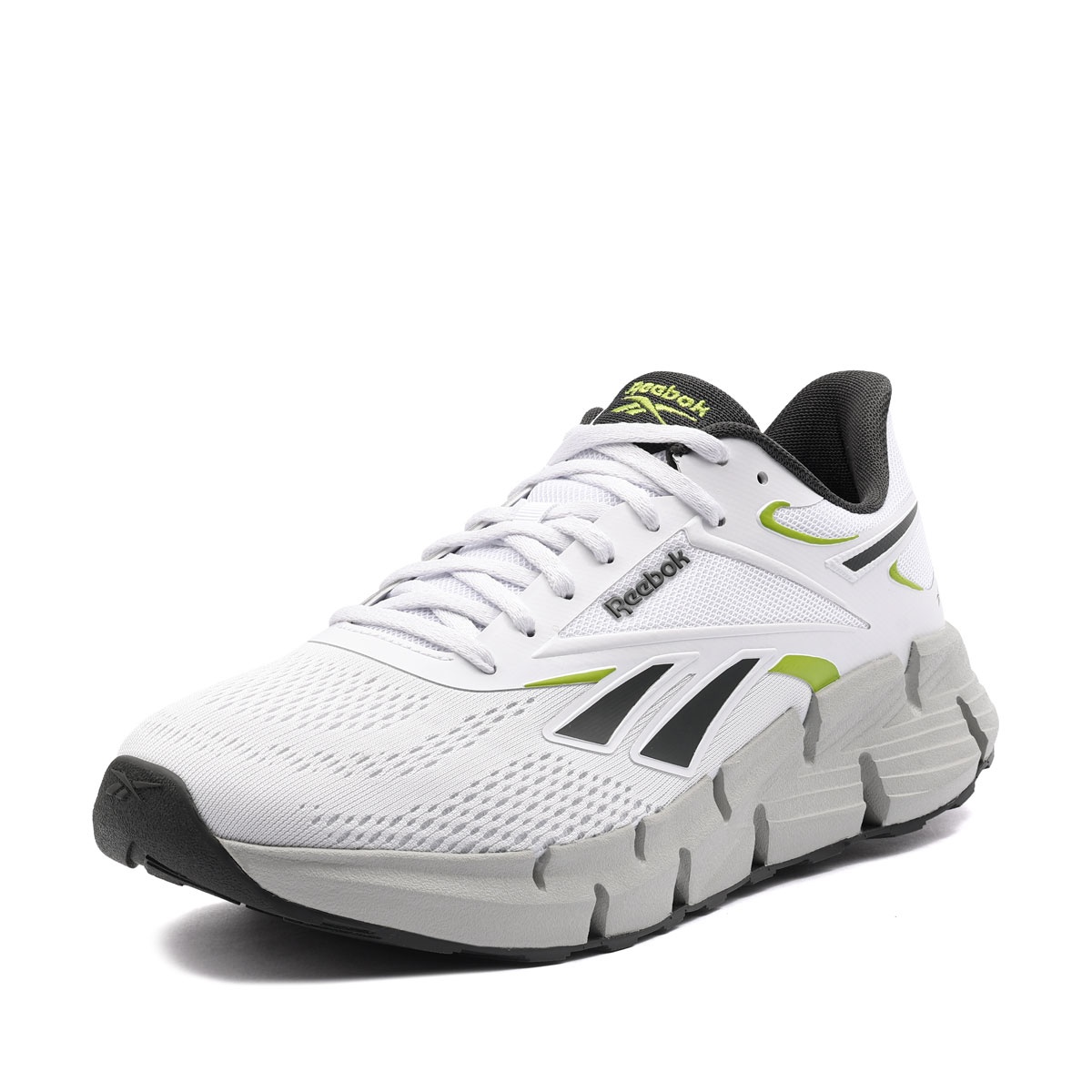Reebok Zig Dynamica 6 Adidași bărbați 100244518