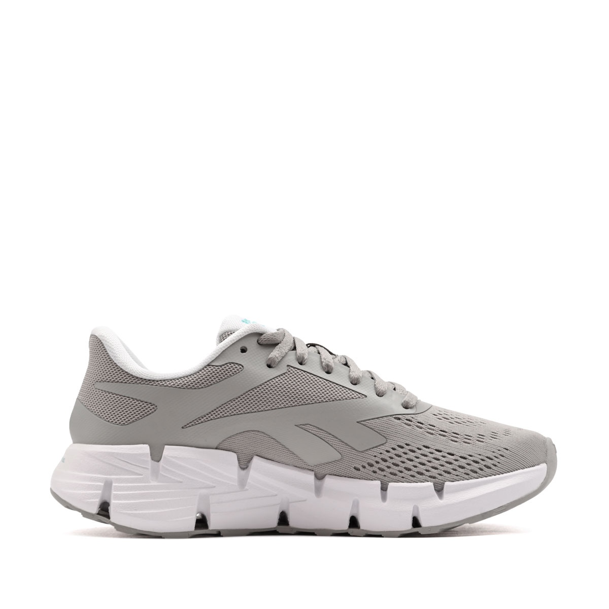 Reebok Zig Dynamica 6 Adidași damă 100263922