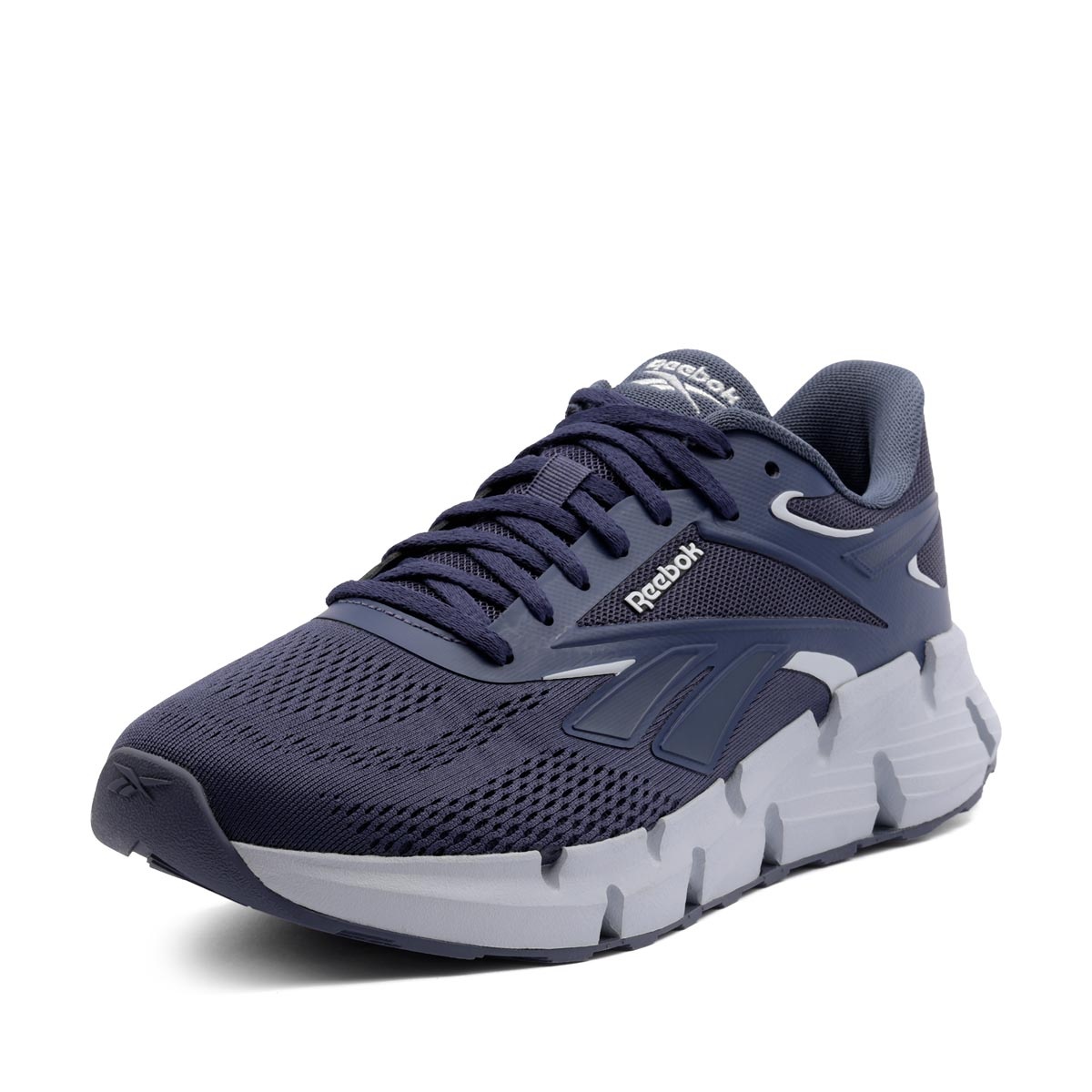 Reebok Zig Dynamica 6 Adidași bărbați 100272042