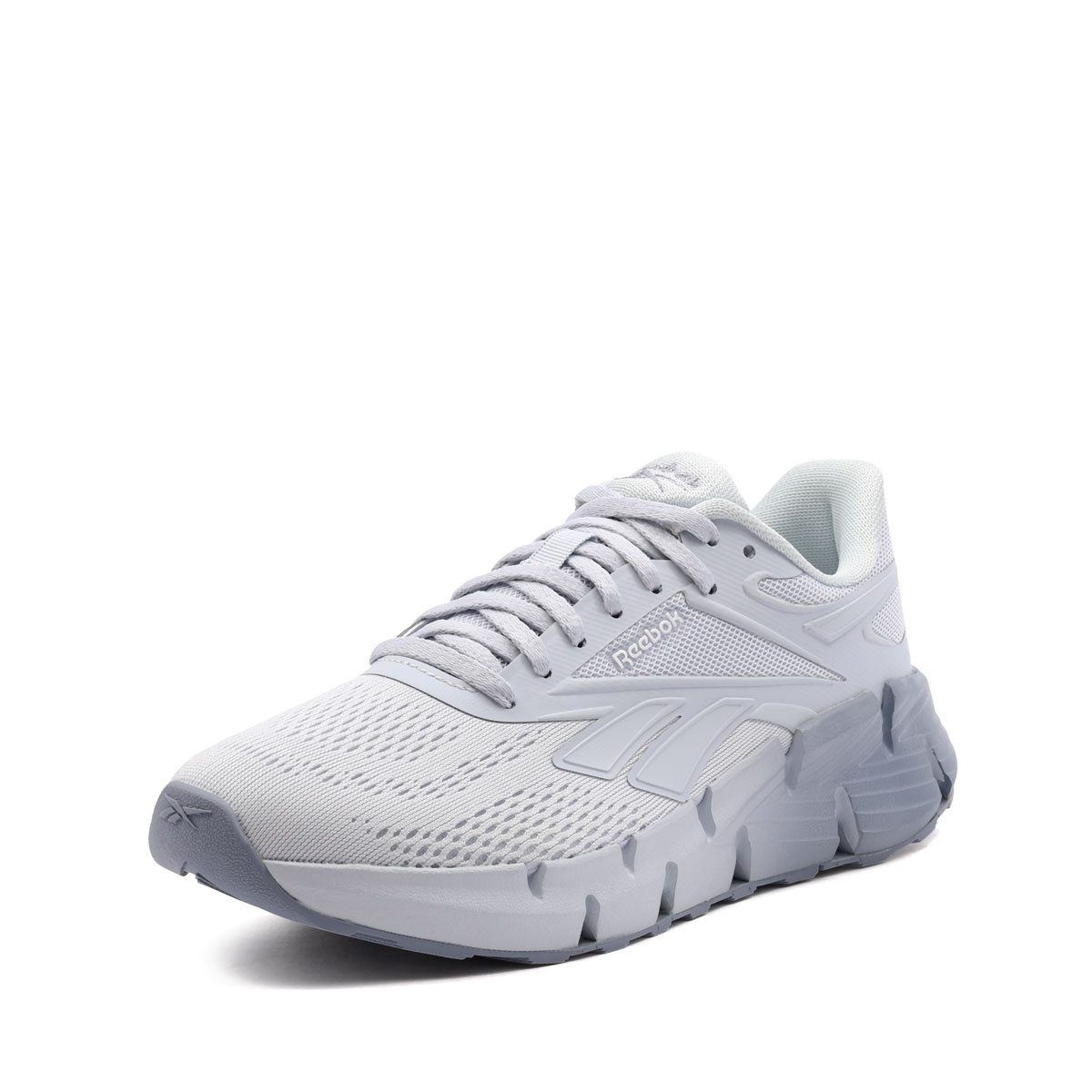 Reebok Zig Dynamica 6 Adidași damă 100272044