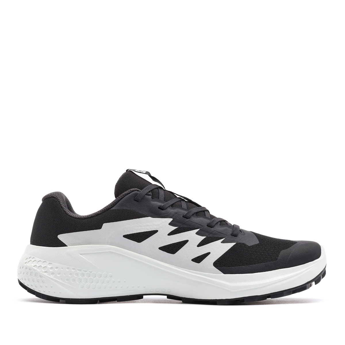 Adidași bărbați Salomon Alphaglide 478010 Salomon Alphaglide Adidași bărbați 478010