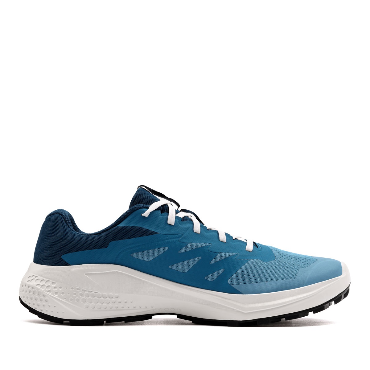 Salomon Alphaglide Adidași bărbați 480004