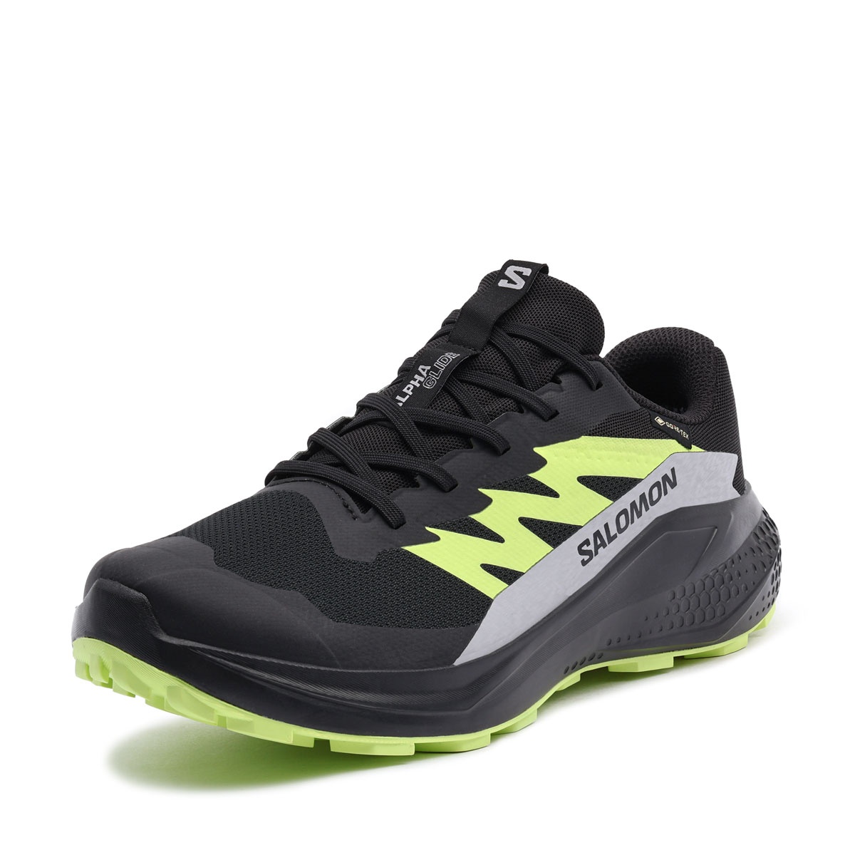 Salomon Alphaglide Gore-Tex Adidași bărbați 478020