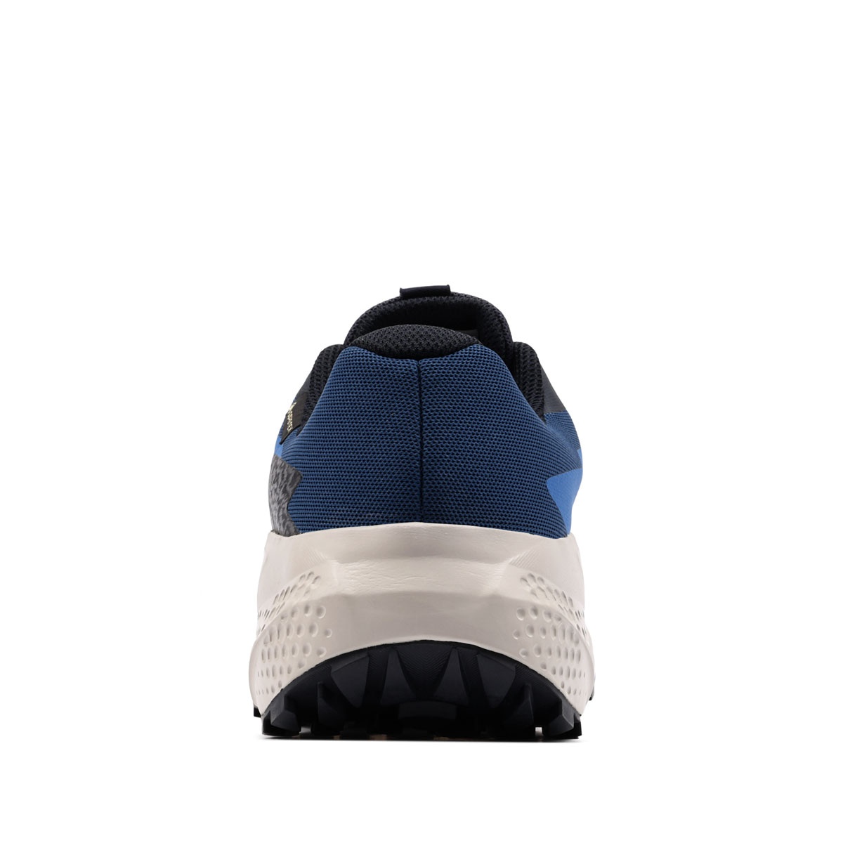 Salomon Alphaglide Gore-Tex Adidași bărbați 479751